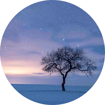 공공인재대학 관련 이미지